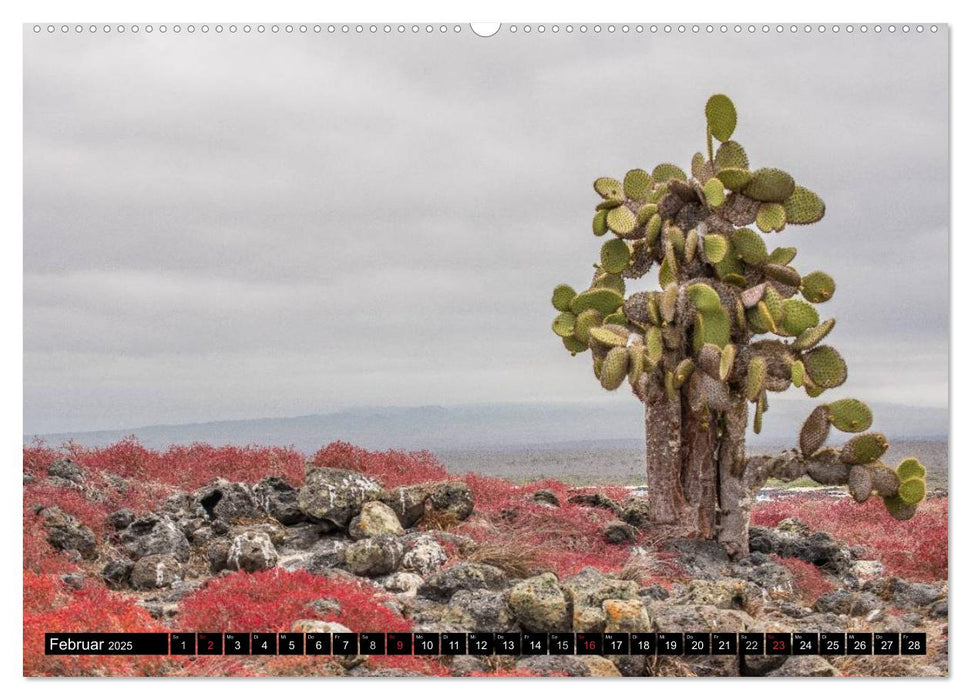 Galapagos (CALVENDO Wandkalender 2025)