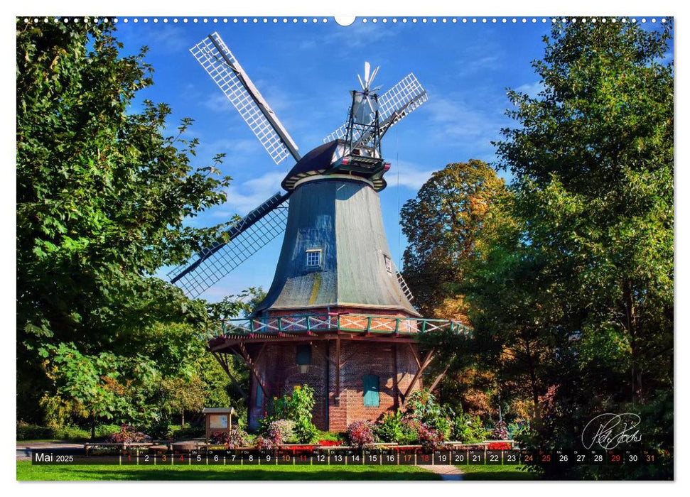 Friesland - Die Friesische Mühlenstraße (CALVENDO Wandkalender 2025)