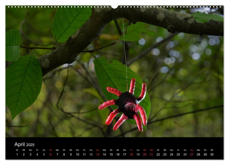 Die Welt der Fruchtgummis (CALVENDO Premium Wandkalender 2025)