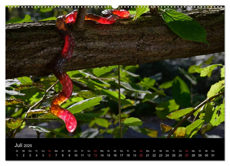 Die Welt der Fruchtgummis (CALVENDO Premium Wandkalender 2025)