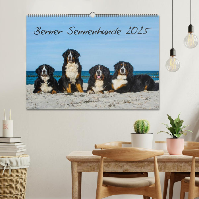 Berner Sennenhund 2025 (CALVENDO Wandkalender 2025)