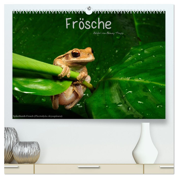 Frösche (CALVENDO Premium Wandkalender 2025)