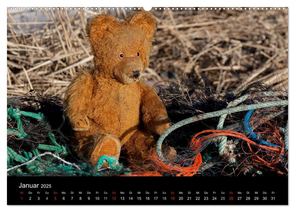 Teddy Basse (CALVENDO Premium Wandkalender 2025)