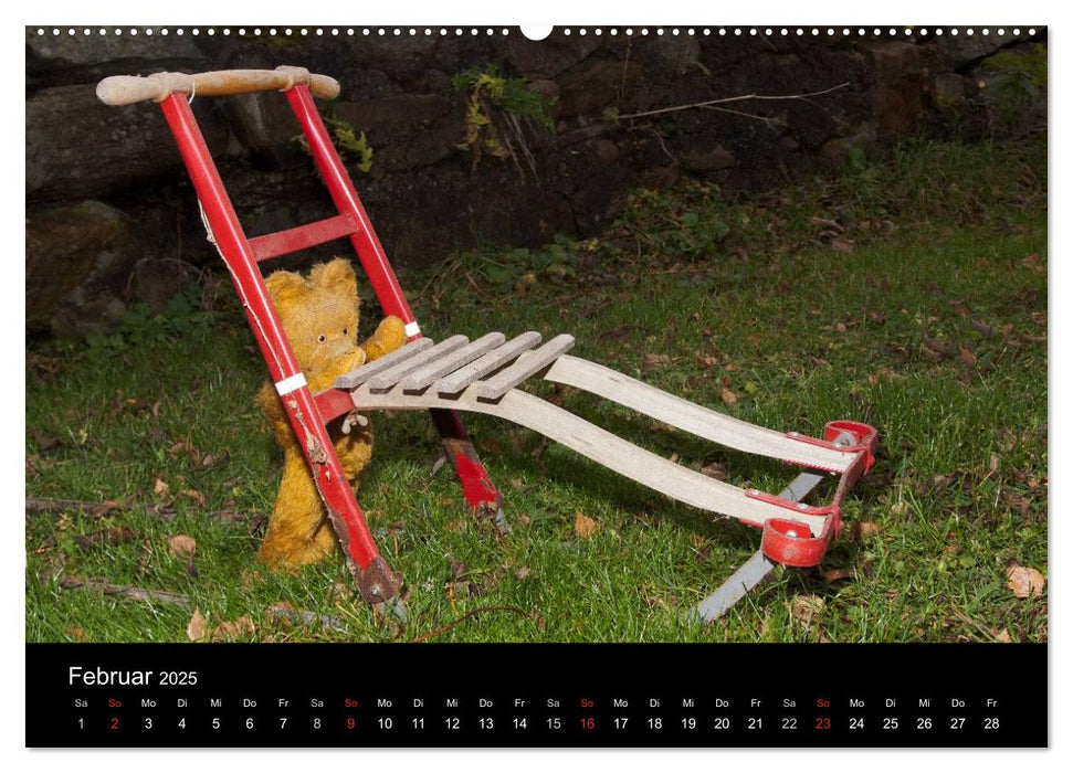 Teddy Basse (CALVENDO Premium Wandkalender 2025)