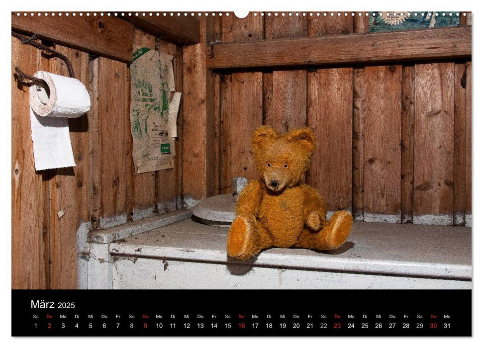 Teddy Basse (CALVENDO Premium Wandkalender 2025)