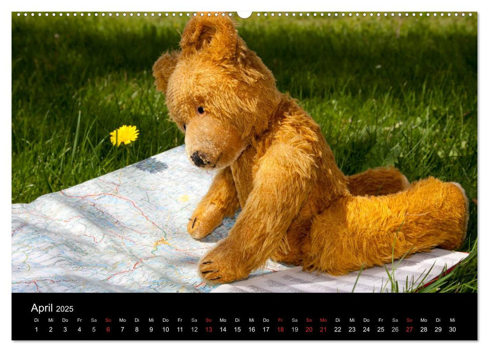 Teddy Basse (CALVENDO Premium Wandkalender 2025)