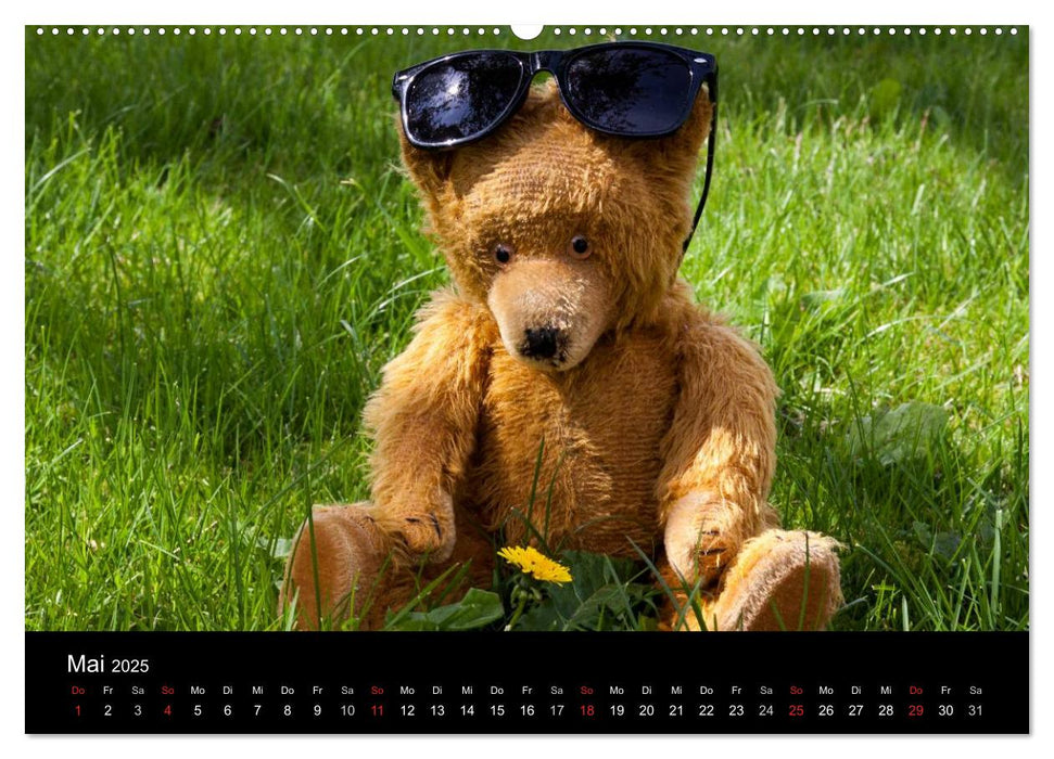 Teddy Basse (CALVENDO Premium Wandkalender 2025)