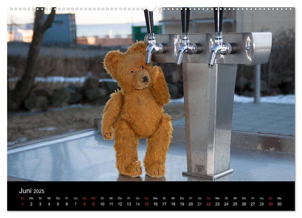 Teddy Basse (CALVENDO Premium Wandkalender 2025)