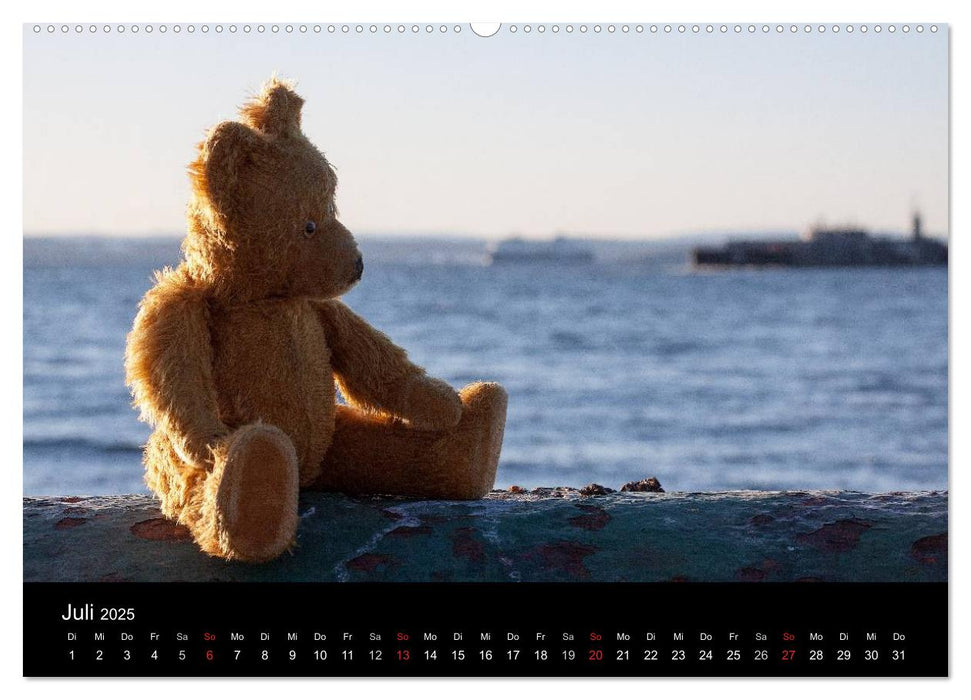 Teddy Basse (CALVENDO Premium Wandkalender 2025)