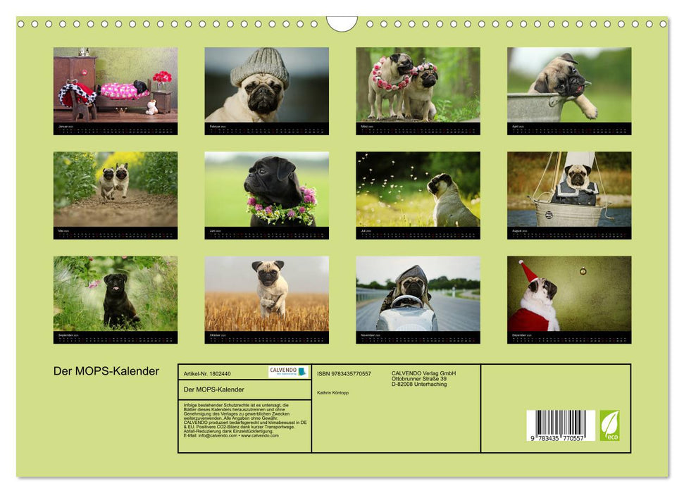 Der MOPS-Kalender (CALVENDO Wandkalender 2025)