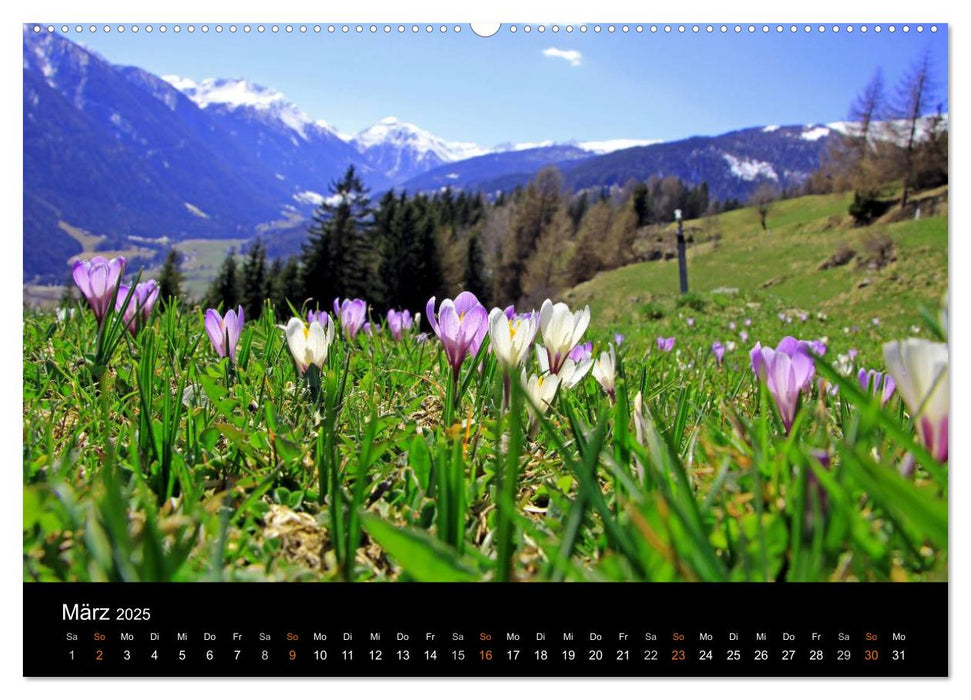 Das Ultental und seine Jahreszeiten (CALVENDO Premium Wandkalender 2025)