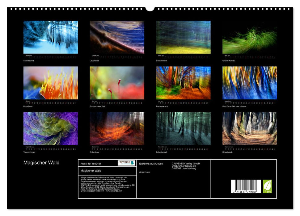 Magischer Wald (CALVENDO Premium Wandkalender 2025)