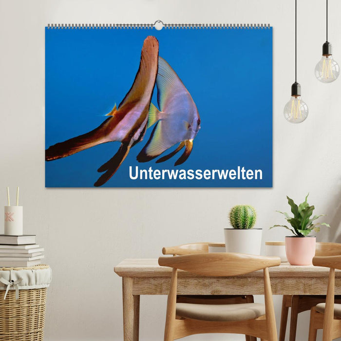 Unterwasserwelten (CALVENDO Wandkalender 2025)