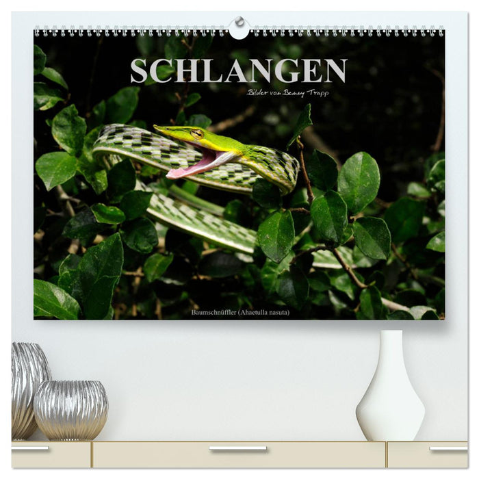 Schlangen (CALVENDO Premium Wandkalender 2025)