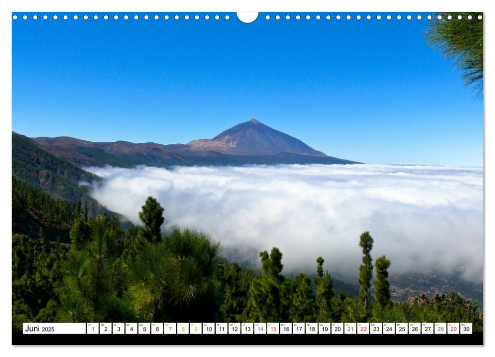 Teneriffa - Insel der Vielfältigkeit (CALVENDO Wandkalender 2025)