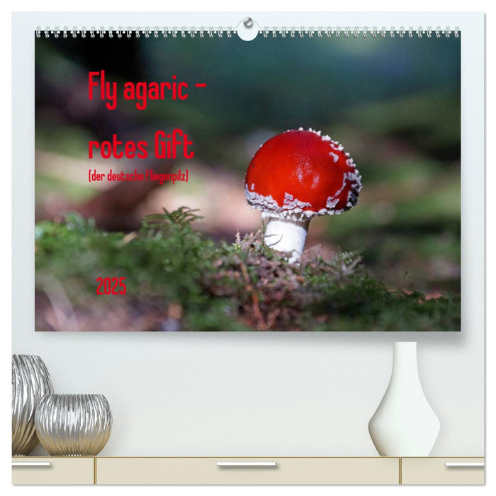 Fly agaric - rotes Gift (CALVENDO Premium Wandkalender 2025)