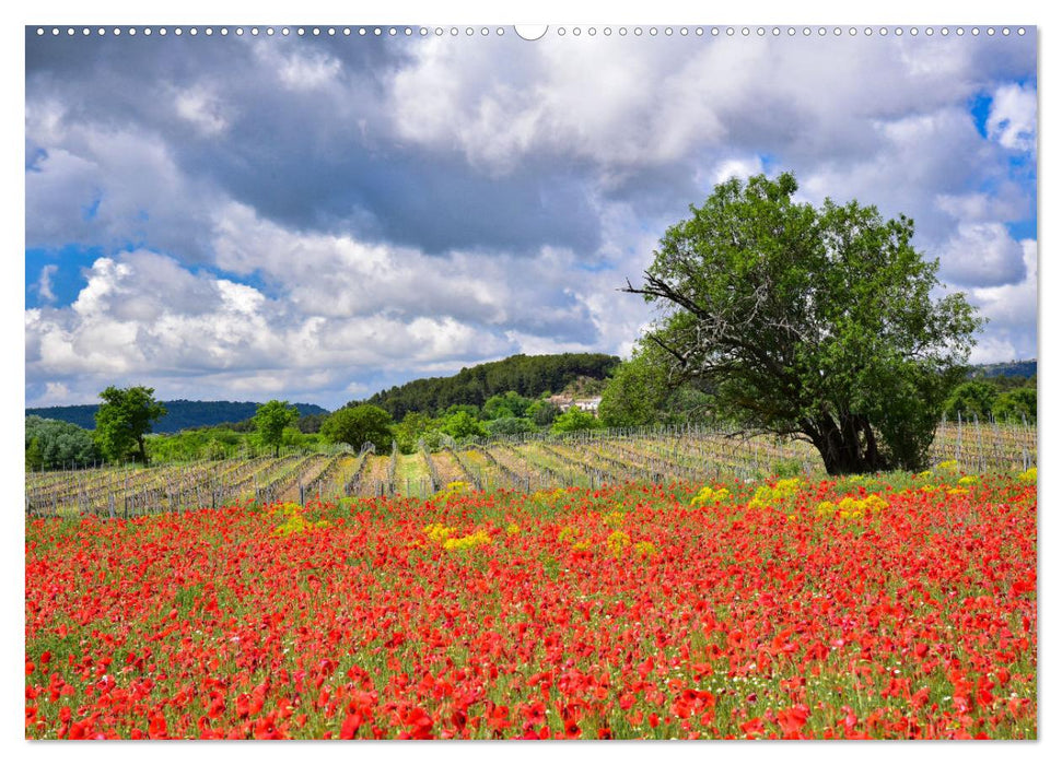 Wo die Provence am schönsten ist (CALVENDO Wandkalender 2025)