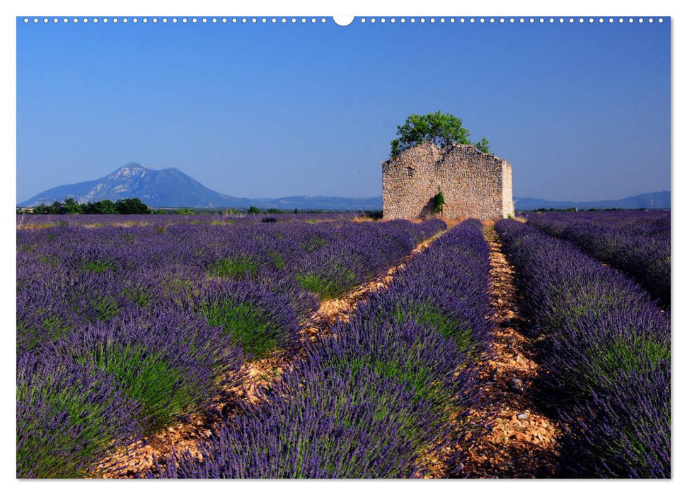 Wo die Provence am schönsten ist (CALVENDO Wandkalender 2025)