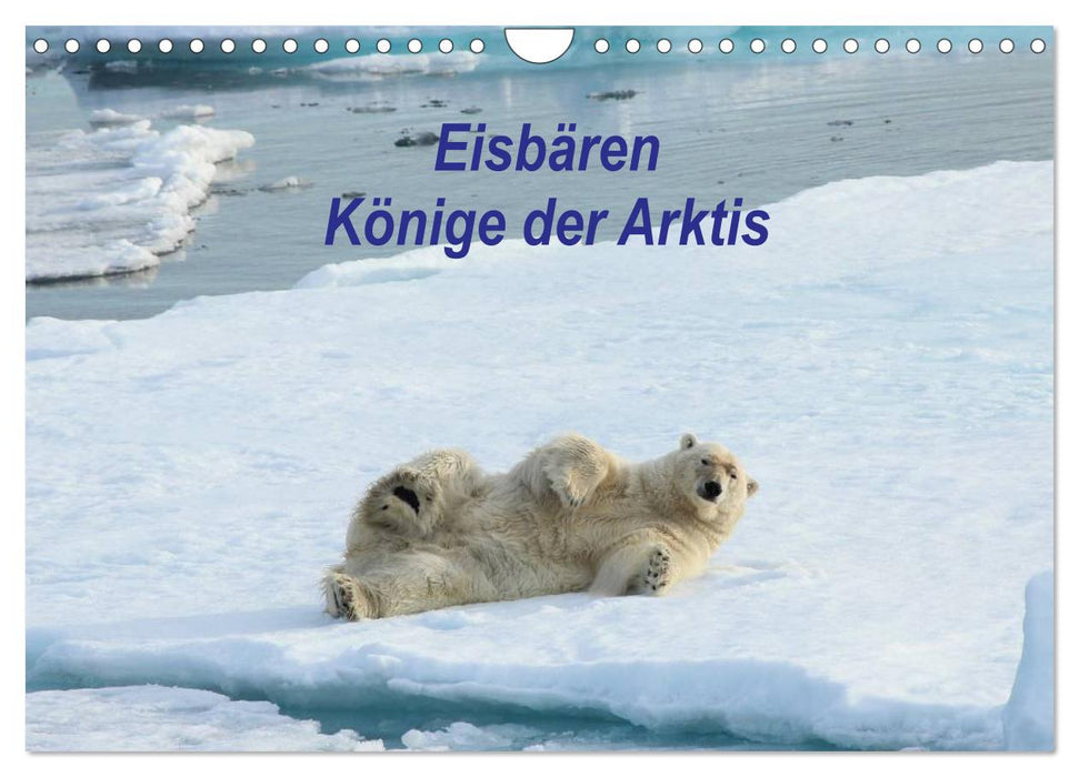 Eisbären - Könige der Arktis (CALVENDO Wandkalender 2025)