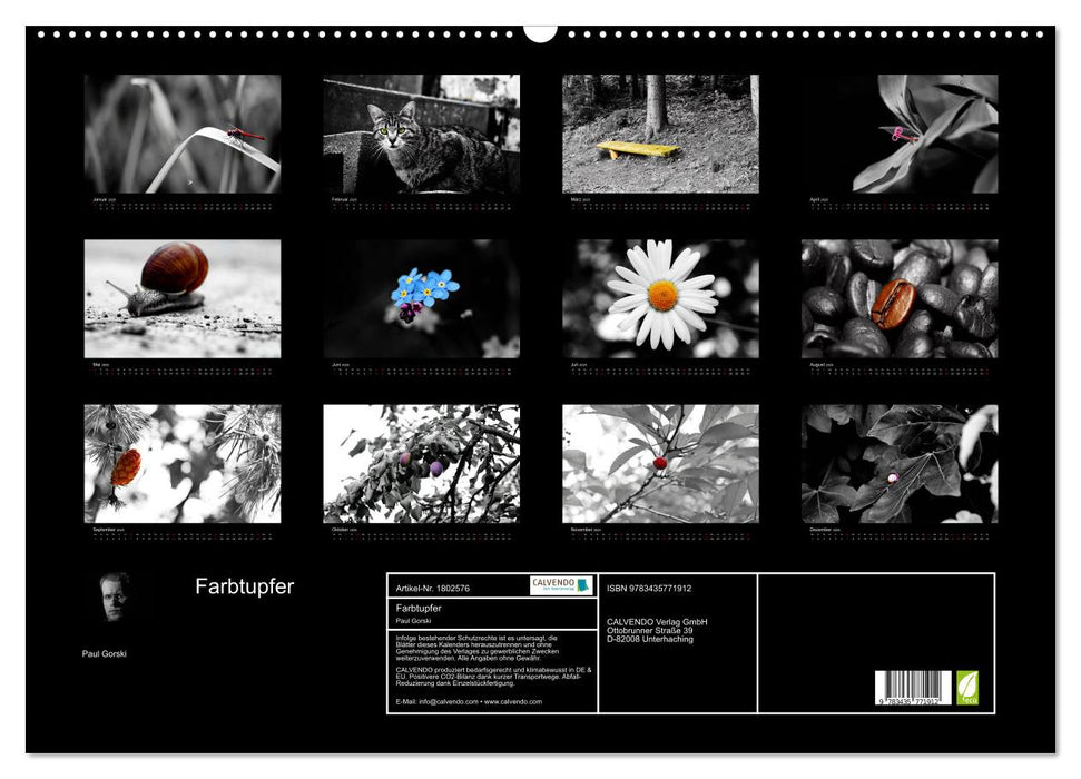 Farbtupfer (CALVENDO Wandkalender 2025)