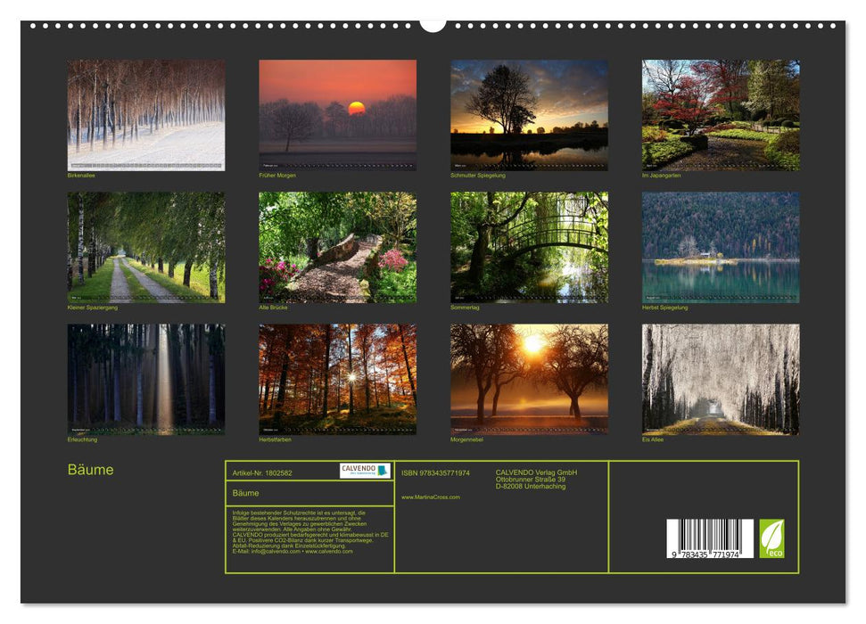 Bäume (CALVENDO Premium Wandkalender 2025)