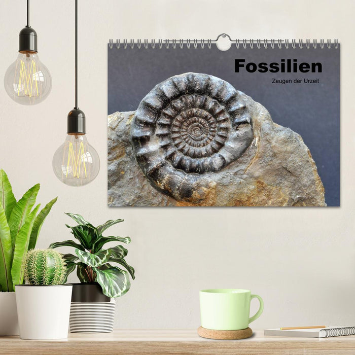 Fossilien - Zeugen der Urzeit (CALVENDO Wandkalender 2025)