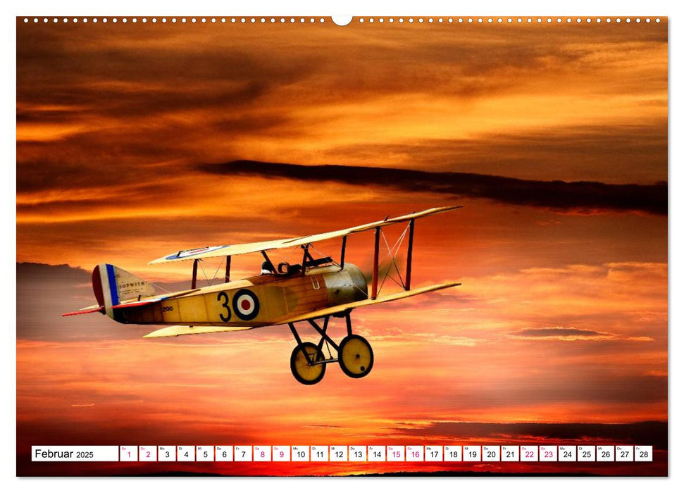 Modellflug in Szene gesetzt (CALVENDO Premium Wandkalender 2025)