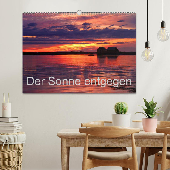 Der Sonne entgegen (CALVENDO Wandkalender 2025)