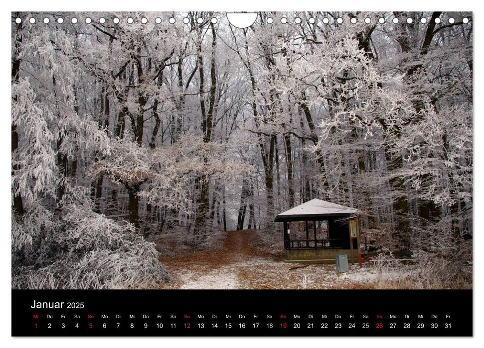 Wiesbadener Bilderbogen (CALVENDO Wandkalender 2025)