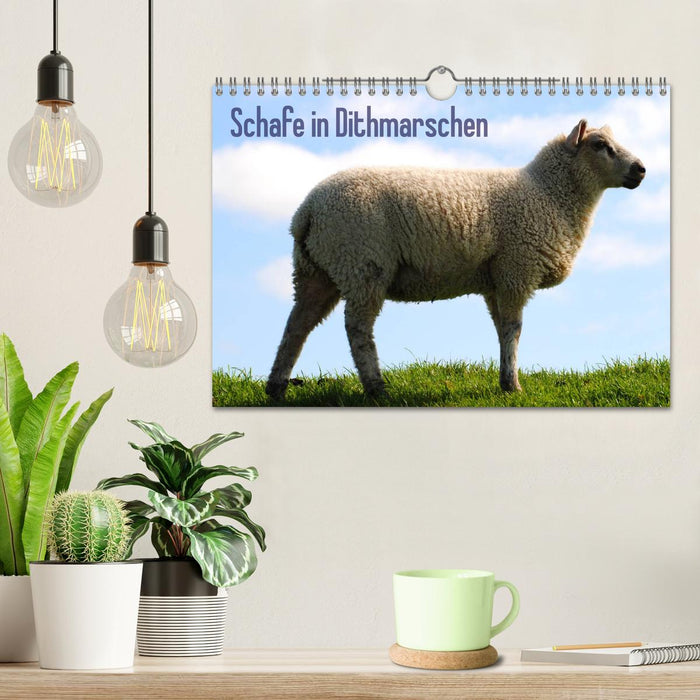 Schafe in Dithmarschen (CALVENDO Wandkalender 2025)