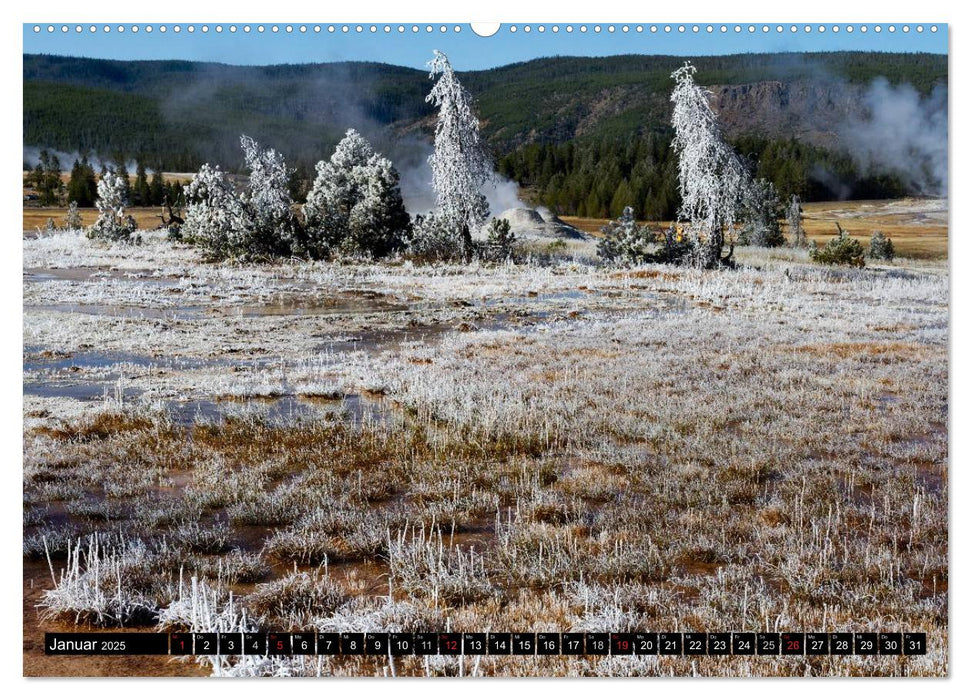 Naturschauspiele im Yellowstone Nationalpark (CALVENDO Premium Wandkalender 2025)