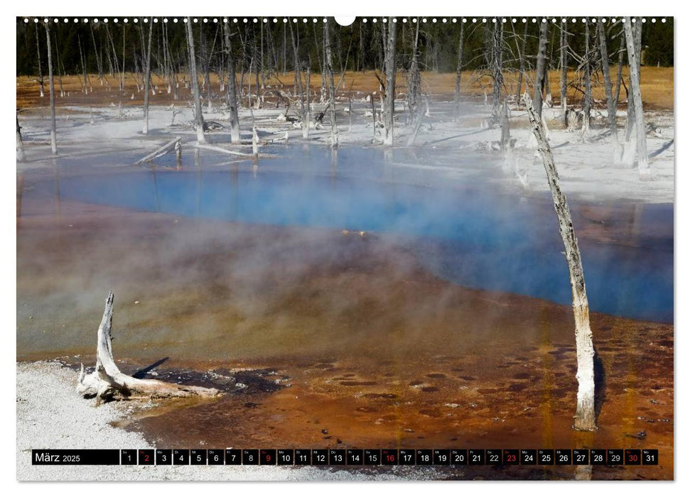 Naturschauspiele im Yellowstone Nationalpark (CALVENDO Premium Wandkalender 2025)