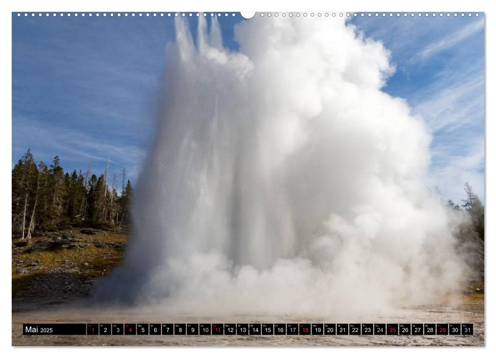 Naturschauspiele im Yellowstone Nationalpark (CALVENDO Premium Wandkalender 2025)