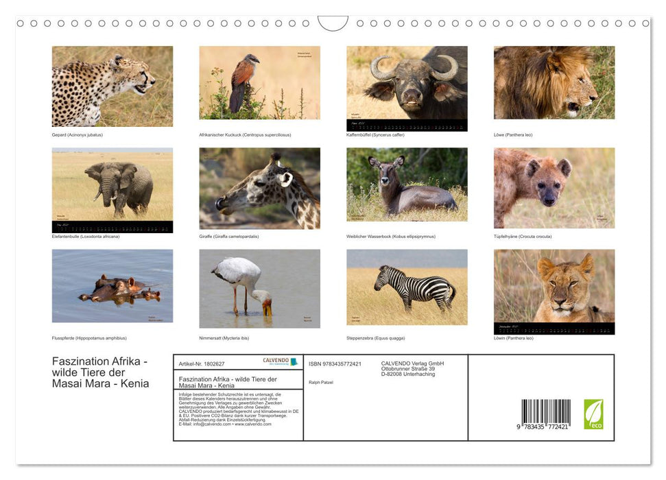 Faszination Afrika - wilde Tiere der Masai Mara - Kenia (CALVENDO Wandkalender 2025)