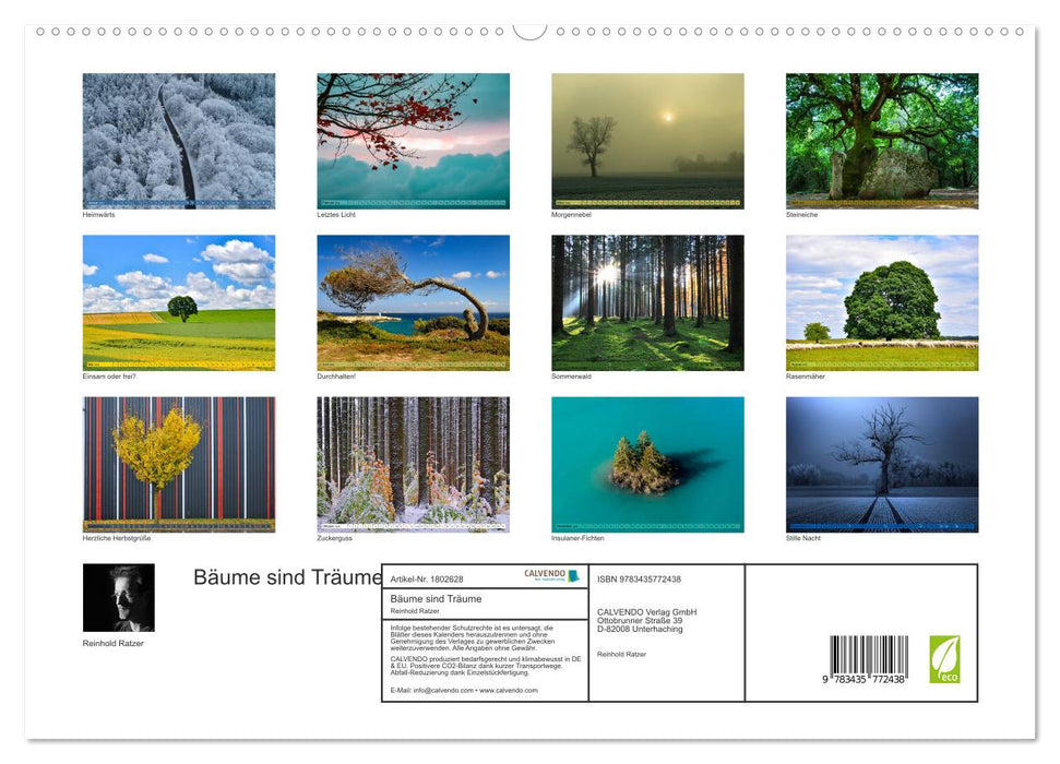 Bäume sind Träume (CALVENDO Premium Wandkalender 2025)