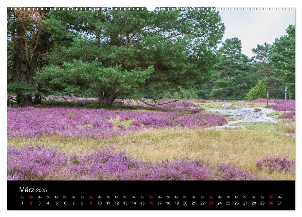 Lüneburger Heide (CALVENDO Premium Wandkalender 2025)