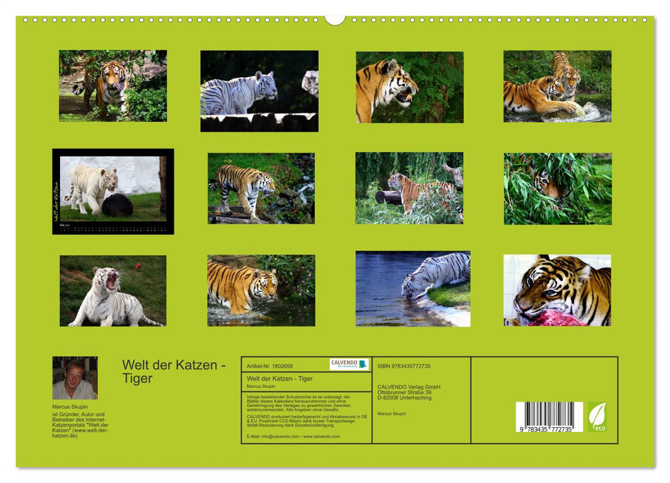 Welt der Katzen - Tiger (CALVENDO Premium Wandkalender 2025)