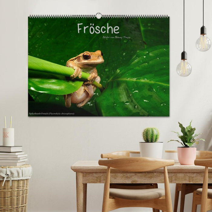 Frösche (CALVENDO Wandkalender 2025)