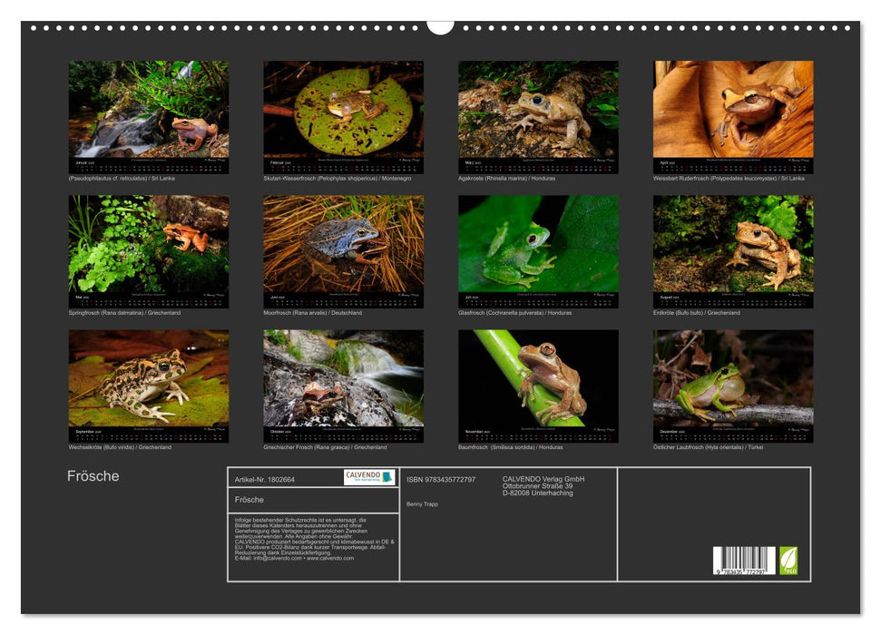 Frösche (CALVENDO Wandkalender 2025)