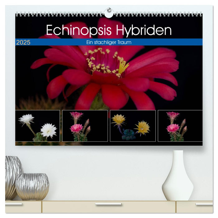 Echinopsis Hybriden. Ein stachliger Traum (CALVENDO Premium Wandkalender 2025)