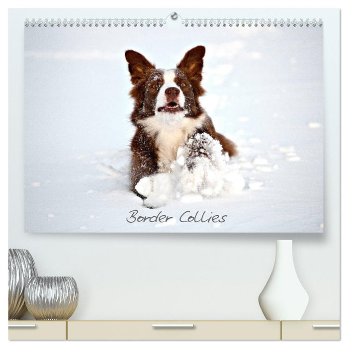 Border Collies (CALVENDO Premium Wandkalender 2025)