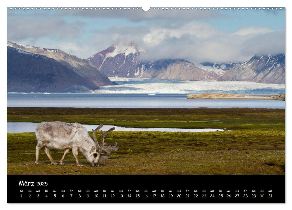 Spitzbergen (CALVENDO Wandkalender 2025)