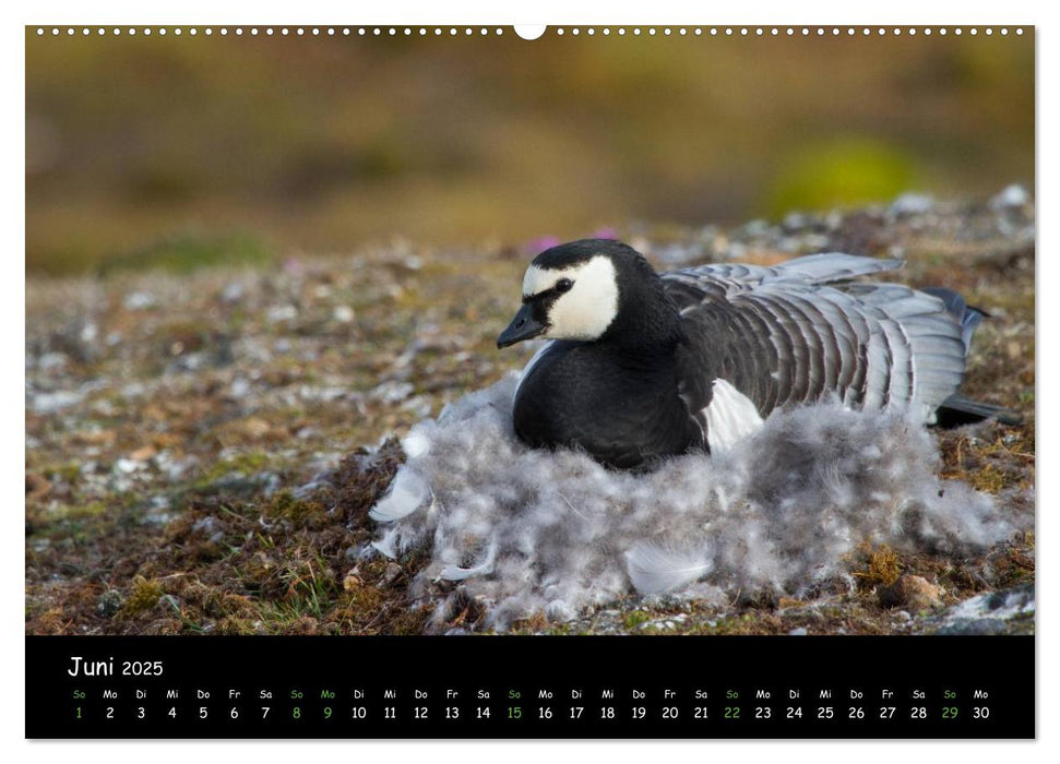 Spitzbergen (CALVENDO Wandkalender 2025)