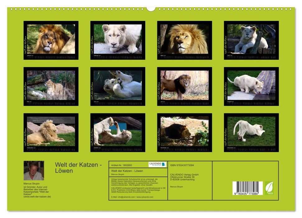 Welt der Katzen - Löwen (CALVENDO Premium Wandkalender 2025)