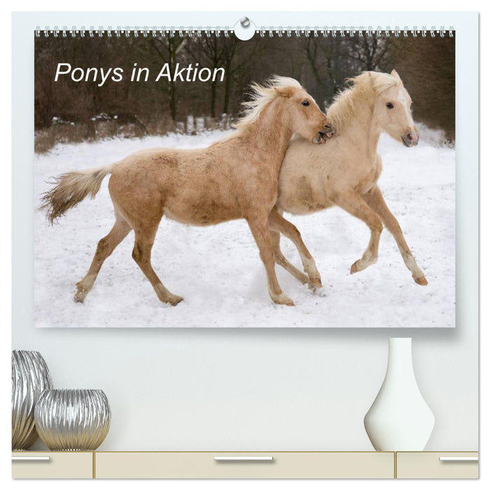 Ponys in Aktion (CALVENDO Premium Wandkalender 2025)