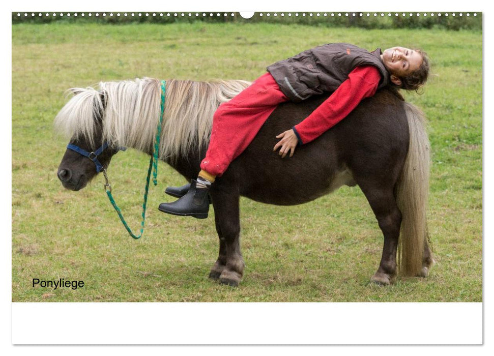Ponys in Aktion (CALVENDO Premium Wandkalender 2025)