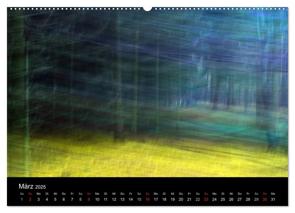 Magischer Wald (CALVENDO Wandkalender 2025)