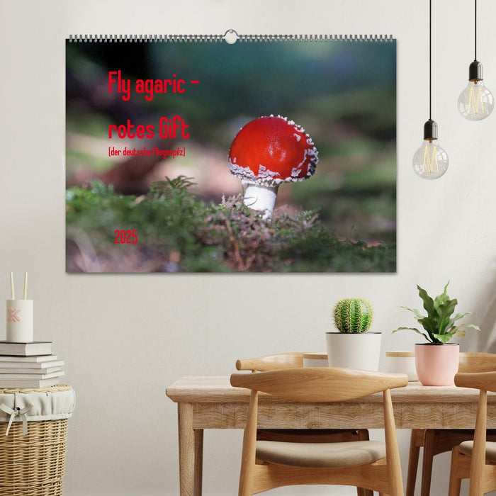 Fly agaric - rotes Gift (CALVENDO Wandkalender 2025)