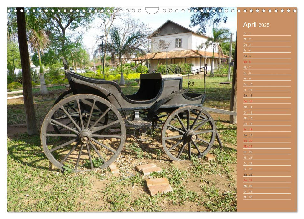 Bilder aus dem Chaco in Paraguay (CALVENDO Wandkalender 2025)