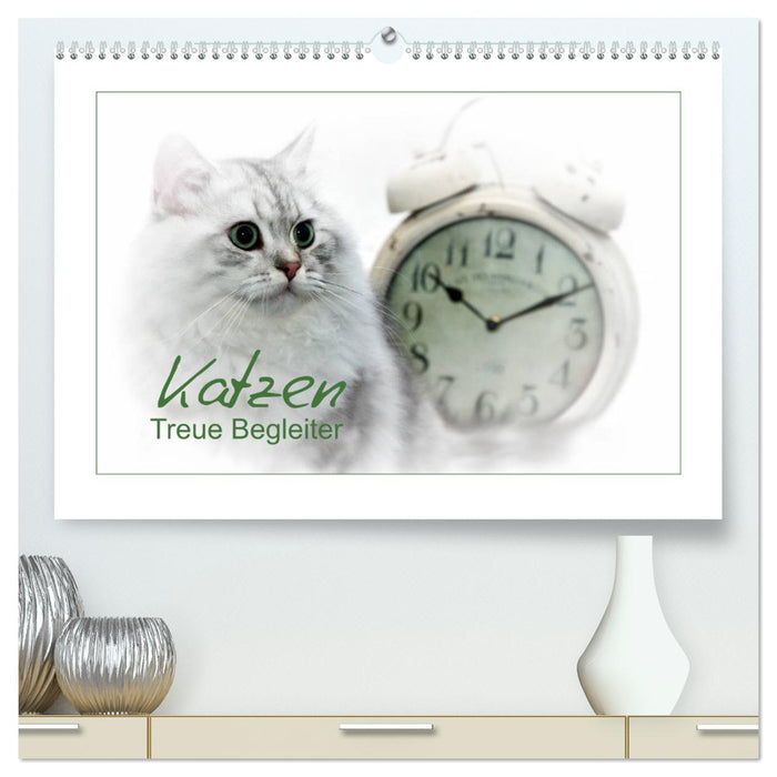 Katzen – Treue Begleiter (CH - Version) (CALVENDO Premium Wandkalender 2025)